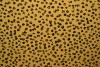 Cotton jersey print - wow 13-47 ocker