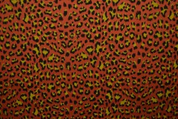 Cotton jersey print - wow 14-42 kupfer