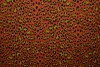 Cotton jersey print - wow 14-42 kupfer
