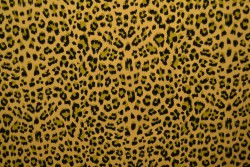 Cotton jersey print - wow 14-47 ocker