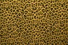 Cotton jersey print - wow 14-47 ocker