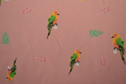 Cotton jersey print - wow 04-37 altrosa