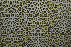 Cotton jersey print - wow 14-25 silbergrau