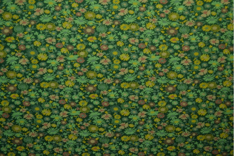 Cotton jersey print - wow 10-32 grün