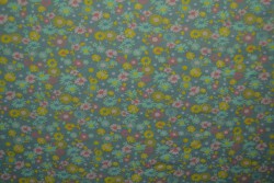 Cotton jersey print - wow 10-34 alt grün