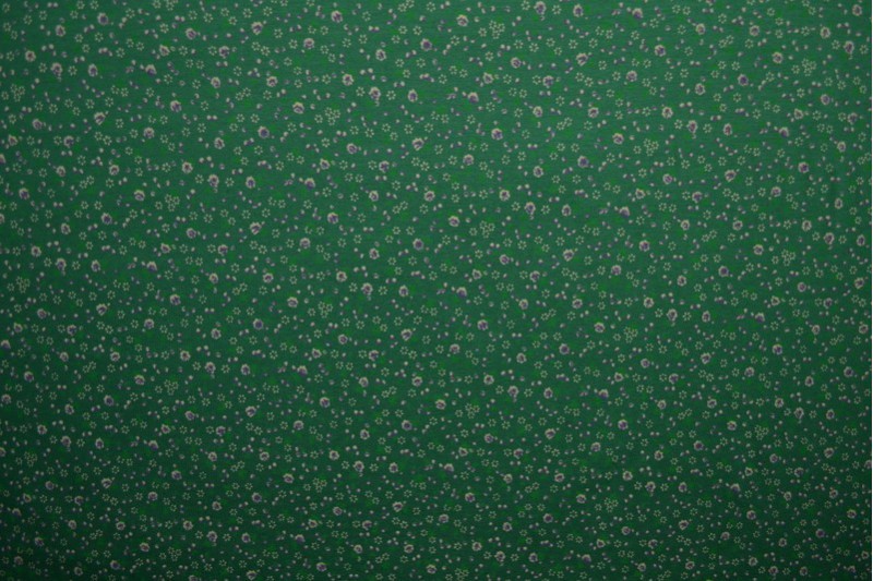 Cotton jersey print - wow 11-32 grün