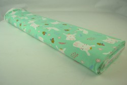 Cotton jersey print - wow 21-01 minzgrün