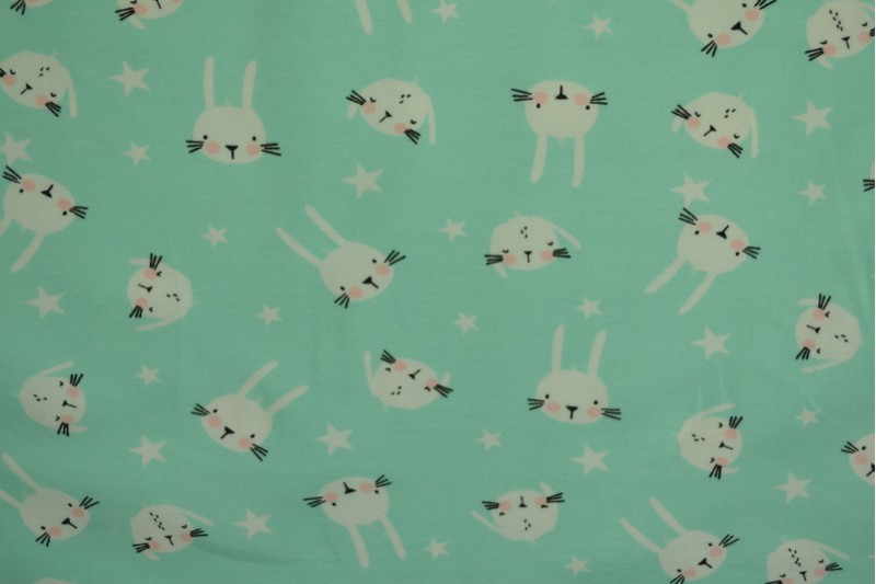 Cotton jersey print - wow 22-01 minzgrün