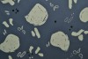 Cotton jersey print - wow 67-17 dunkelgrau