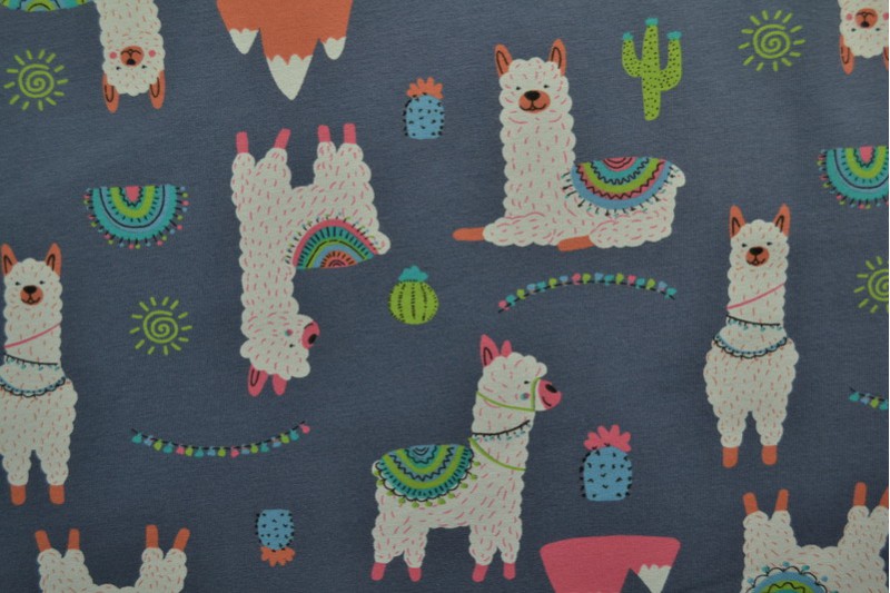 Cotton jersey print - wow 65-17 dunkelgrau