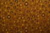 Cotton jersey print - wow 63-44 dunkel ocker