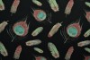 Cotton jersey print - wow 62-03 schwarz