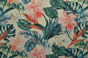 Cotton jersey print - wow 60-22 champagner