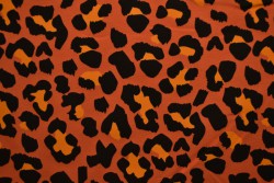 Cotton jersey print - wow 54-42 kupfer