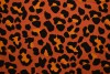 Cotton jersey print - wow 54-42 kupfer