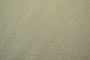 Cotton jersey print - wow 59-22 champagner