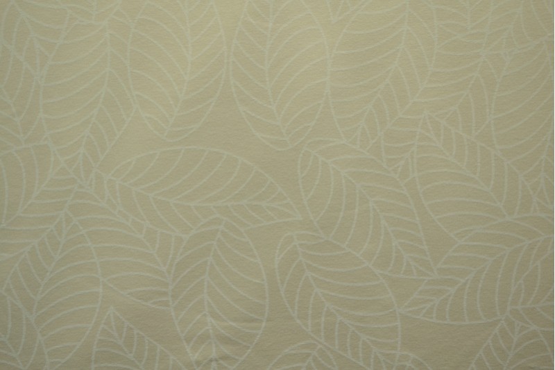 Cotton jersey print - wow 59-22 champagner