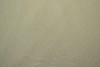 Cotton jersey print - wow 59-22 champagner