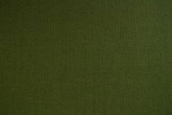 Cotton jersey rib 02 dunkel moosgrün