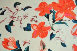 Lycra print 231-01