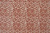 Lycra print 310-01