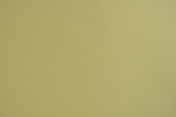 Taffeta collection 04-01 - vanille - plain