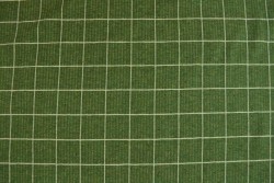 Cotton jersey checks 2cm 01-02 grün