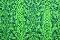 Lycra print 354-01