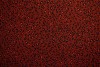 Lycra print 374-01