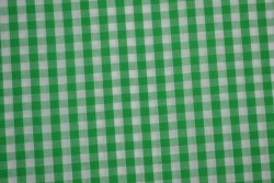 Baumwolle gingham karo 6.5 mm 160-10 grün