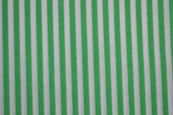 Baumwolle gingham streifen 6.5 mm 165-10 grün