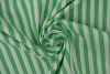 Baumwolle gingham streifen 6.5 mm 165-10 grün