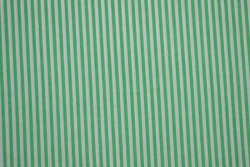 Baumwolle gingham streifen 2.5 mm 167-10 grün