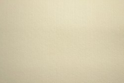 Filz 3mm 22 champagner