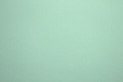 Filz 3mm 41 light minze