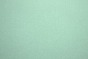 Filz 1mm 41 light minze