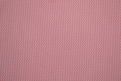 Mesh 02-51
