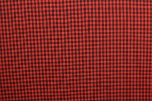Cotton vichy checks 02-01