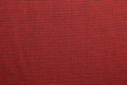 Cotton vichy checks 03-01