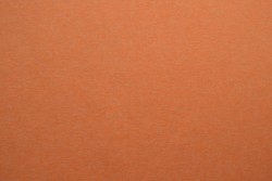 Jersey supersoft 10 orange