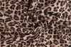 Muslin print 303-19