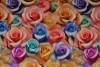 Viscose print digital 0353-01