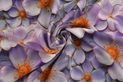 Viscose print digital 0428-01