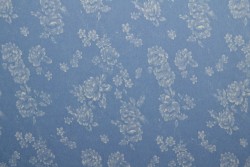 Denim chambray washed print 12-01