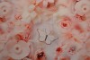 Cotton poplin print digital 74-4