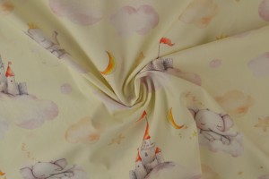 Cotton poplin print digital 79-2