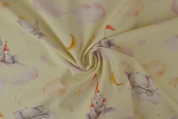 Cotton poplin print digital 79-2