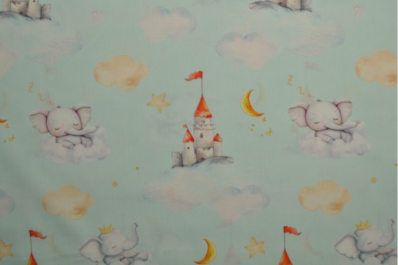 Cotton poplin print digital 79-3
