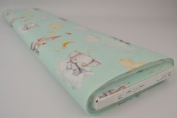 Cotton poplin print digital 79-3
