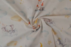 Cotton poplin print digital 79-4